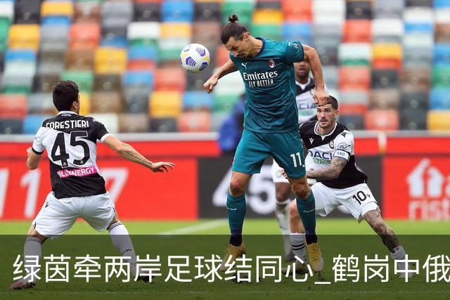 绿茵牵两岸足球结同心 鹤岗中俄足球赛事搭建跨境人文交流桥梁